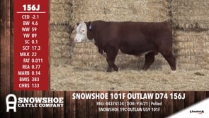 Lot #156J - SNOWSHOE 101F OUTLAW D74 156J