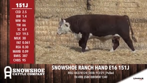 Lot #151J - SNOWSHOE RANCH HAND E16 151J