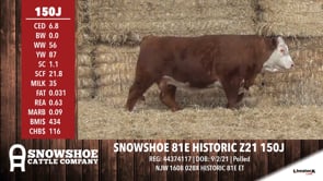Lot #150J - SNOWSHOE 81E HISTORIC Z21 150J