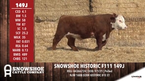 Lot #149J - SNOWSHOE HISTORIC F111 149J