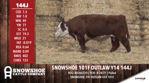 Lot #144J - SNOWSHOE 101F OUTLAW Y14 144J