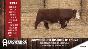 Lot #139J - SNOWSHOE 81E HISTORIC D11 139J
