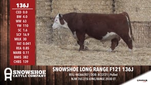 Lot #136J - SNOWSHOE LONG RANGE F121 136J