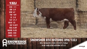 Lot #132J - SNOWSHOE 81E HISTORIC D96 132J