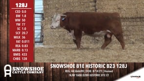 Lot #128J - SNOWSHOE 81E HISTORIC B23 128J