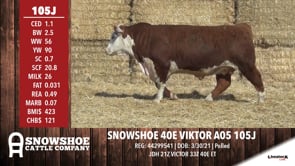 Lot #105J - SNOWSHOE 40E VIKTOR A05 105J