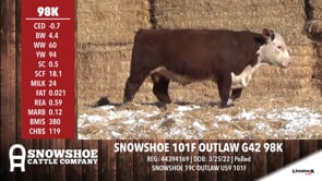 Lot #98K - SNOWSHOE 101F OUTLAW G42 98K