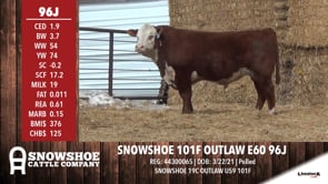 Lot #96J - SNOWSHOE 101F OUTLAW E60 96J