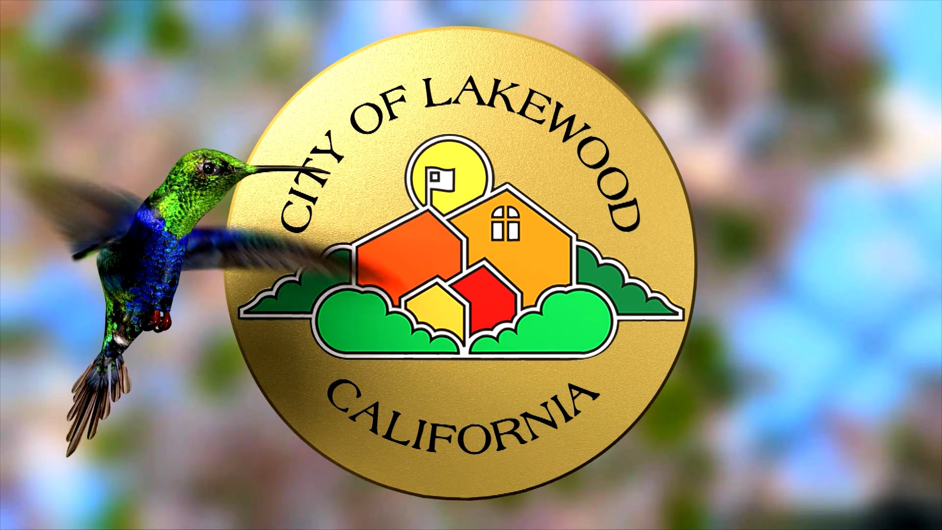 Lakewood Hummingbird Promo on Vimeo