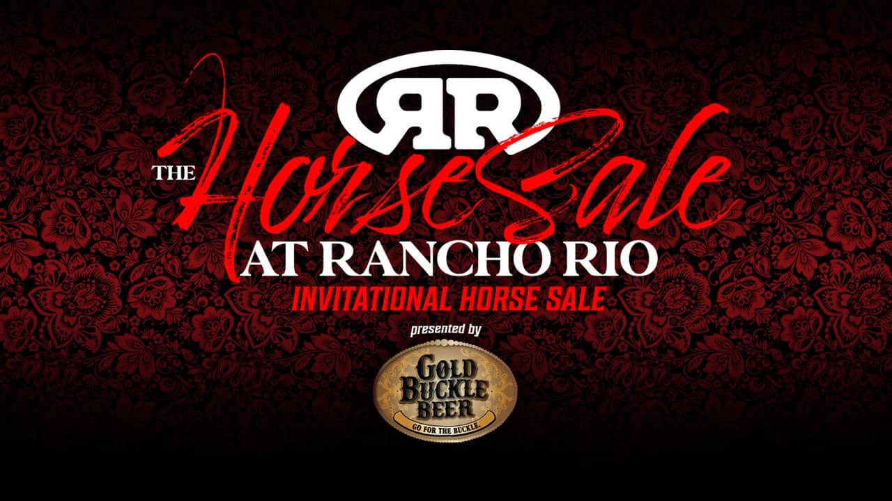 Rancho Rio Horse Sale Preview on Vimeo