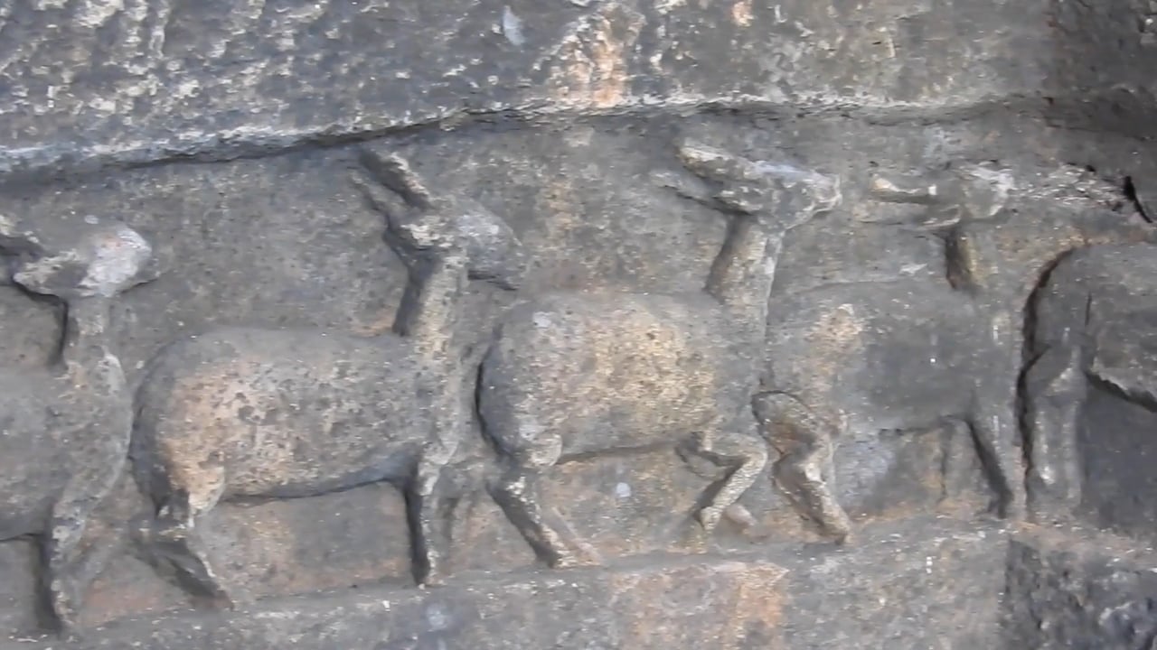 Life on Hold, a video by Amit Kaurshi