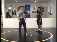 Preview Video #2