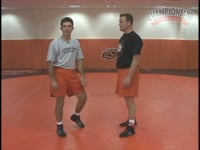 Preview Video #2