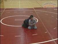Preview Video #2