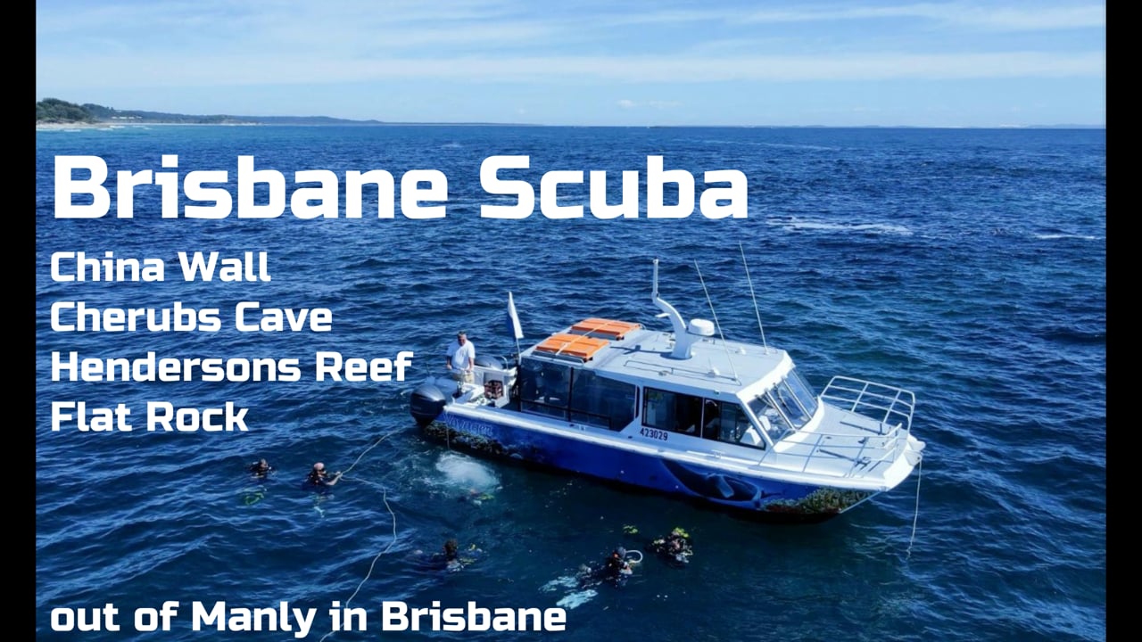 Brisbane Scuba Video Gallery Brisbane Scuba Dive Trips & Scuba