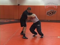 Preview Video #2