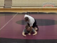 Preview Video #1