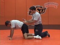 Preview Video #1