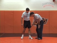 Preview Video #1