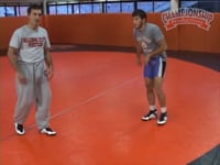 Preview Video #1