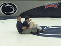 Preview Video #1