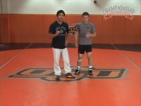 Preview Video #1