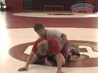 Preview Video #1