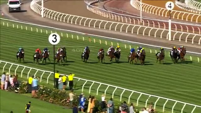 I Am Invincible Stallion Breednet