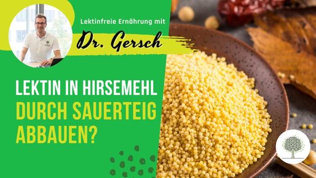 Gibt es ein Lektin in Hirsemehl und kann ich es durch Sauerteig abbauen? 