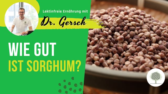 Ist Sorghum ein gutes lektinfreies Mehl? 