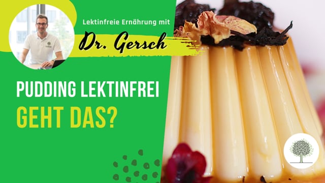 Wie kann man Vanillepudding/Schokopudding auf lektinfreier Ernährung ersetzen? 