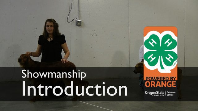 Introduction to Showmanship - 4-H Dog Project on Vimeo