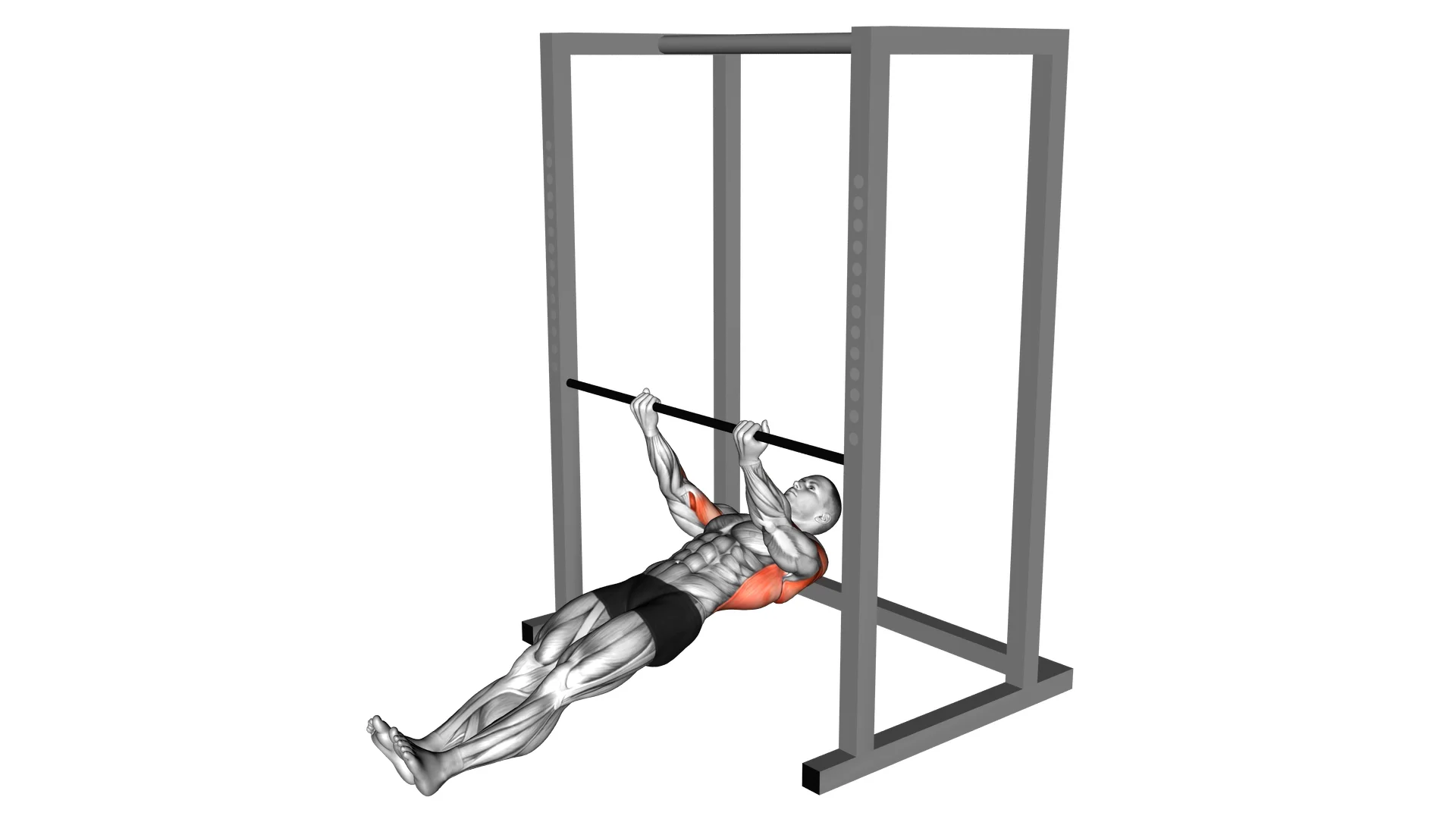 Underhand Grip Inverted Bodyweight Row on Vimeo
