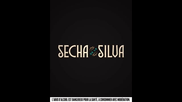 deVine Voices Native French Male Voiceover SECHA de la SILVA Commercial