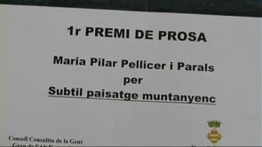 Primer premi prosa