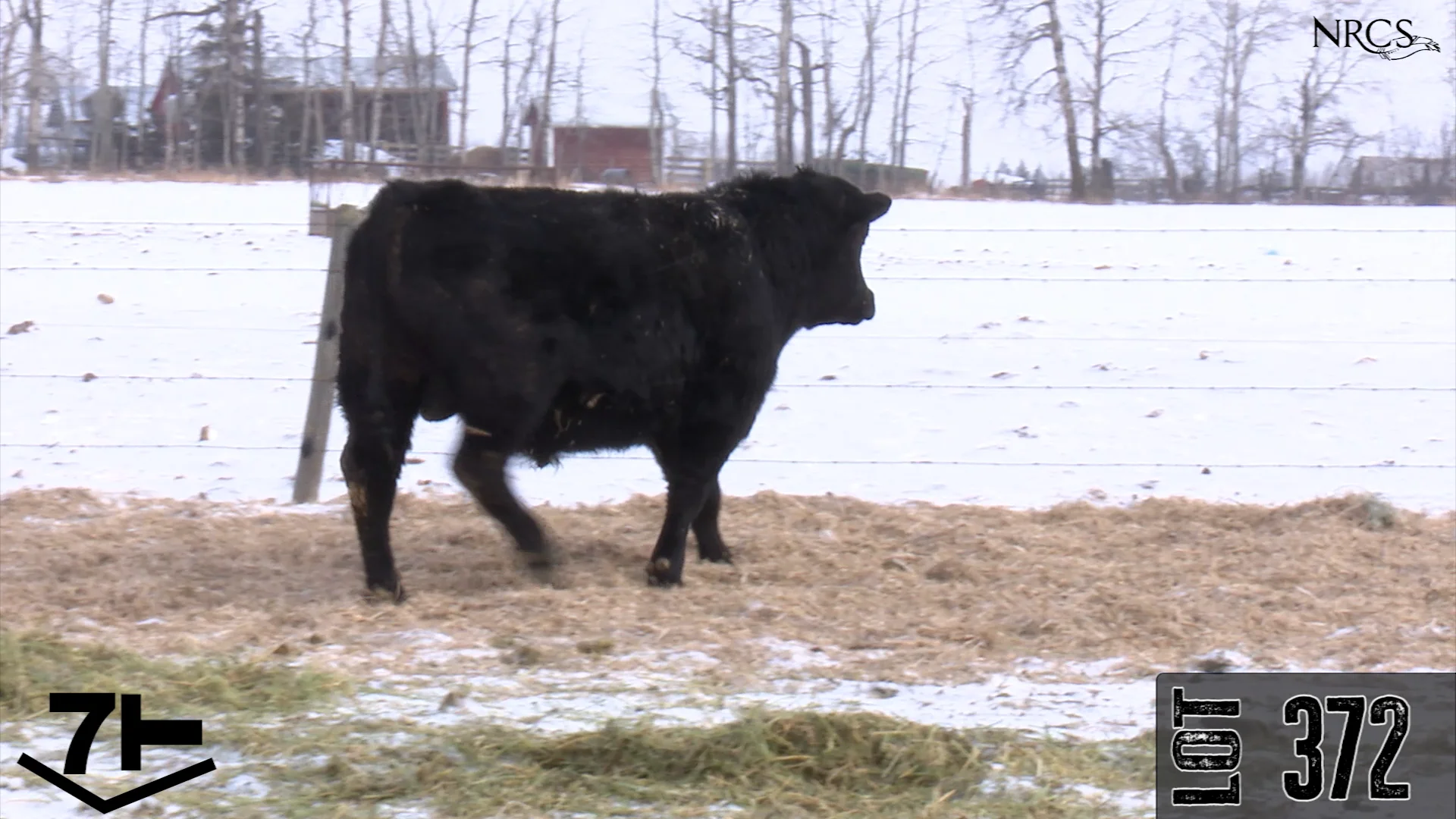 372 - Olson Ranch 2023 on Vimeo