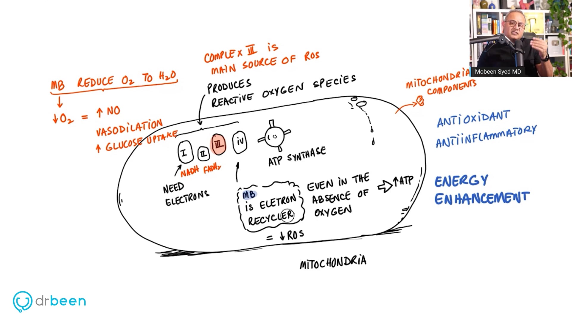  An Overview of Neuroprotective Mechanism of Methylene Blue