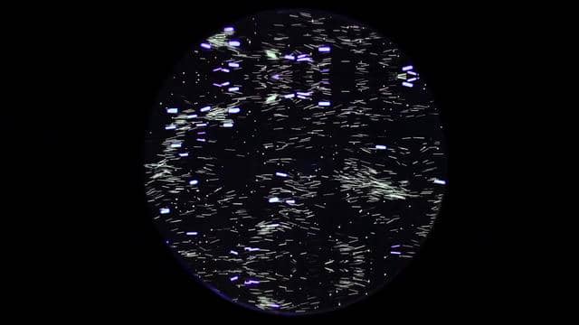 Everywhere / Matt Pyke & Friends / Super-Computer-Romantics on Vimeo