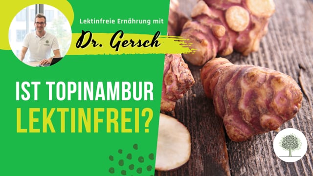 Ist Topinambur lektinfrei? 