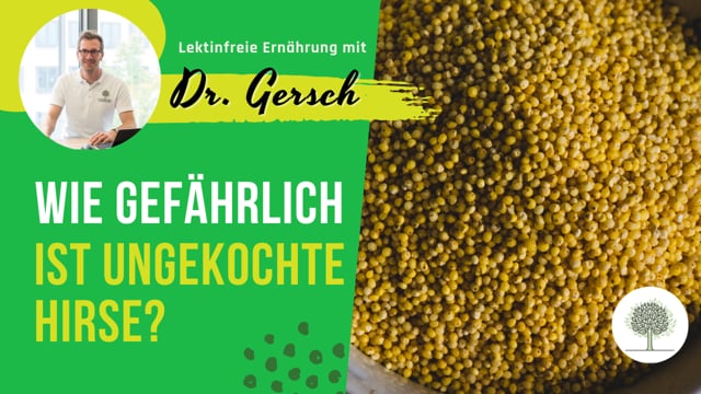 Unverträglichkeit von ungekochter Hirse auf einer lektinfreien Ernährung? 