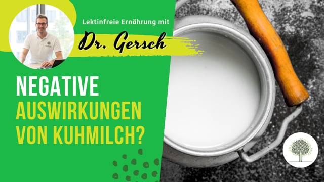 Die Milch einer schwangeren Kuh - Kann die sich hormonell negativ auf den menschlichen Organismus auswirken? 