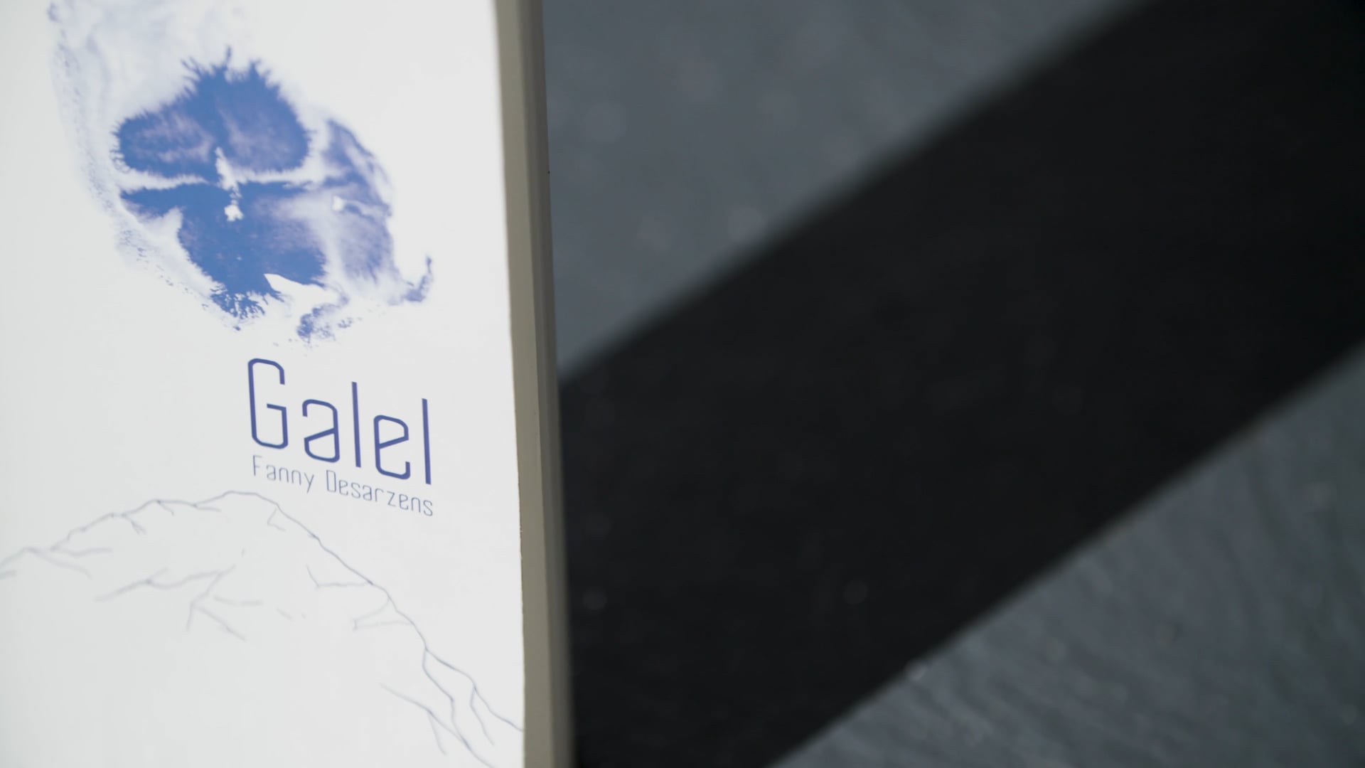 Prix Suisse de Littérature 2023 - Fanny Desarzens