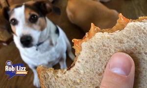 Peanut Butter is A Multitool