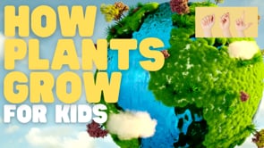 ASL How Plants Grow for Kids