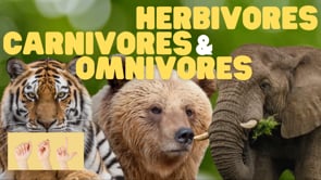 ASL Herbivores, Carnivores, and Omnivores