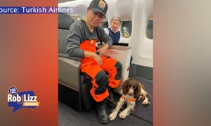 Rescue Dogs Fly Back First Class