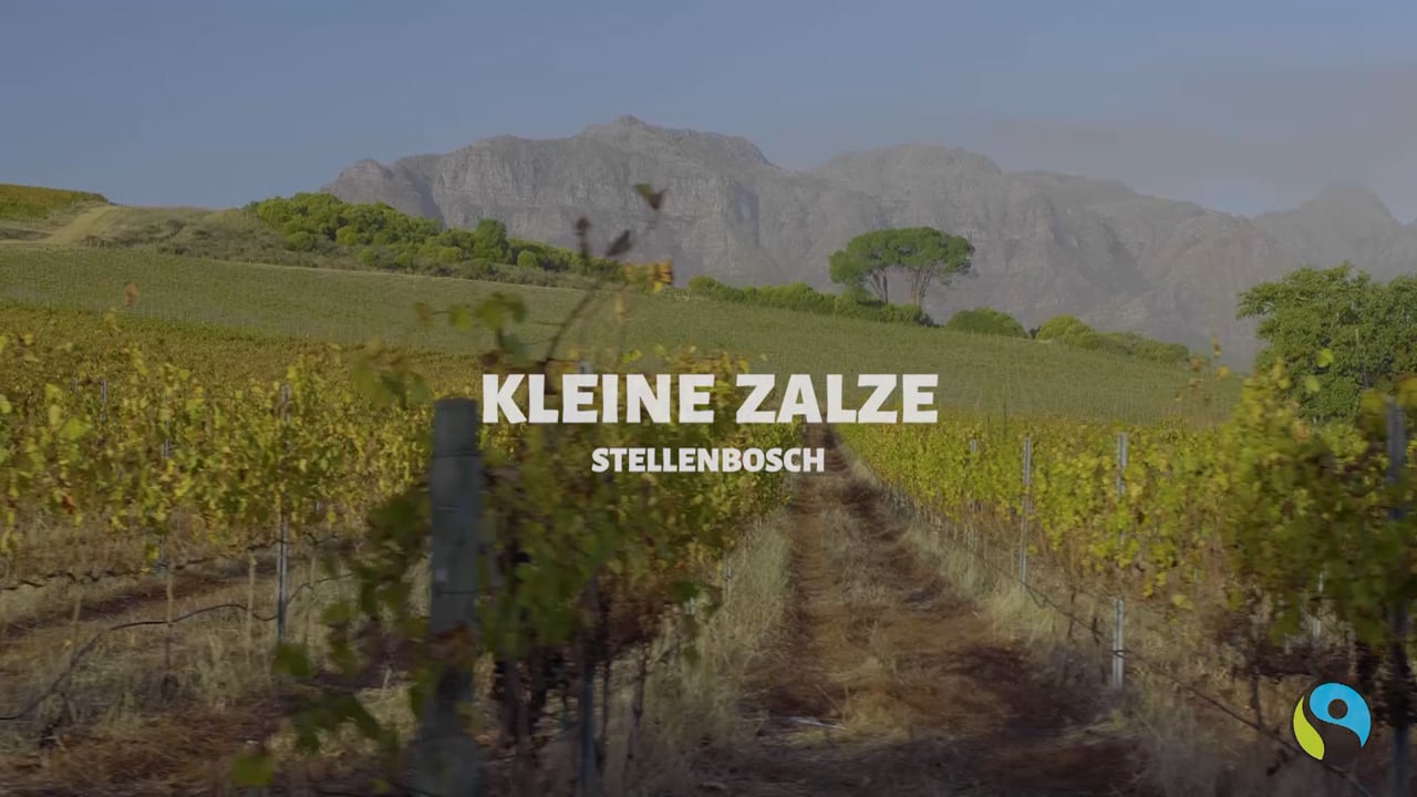 Kleine Zalze Impact