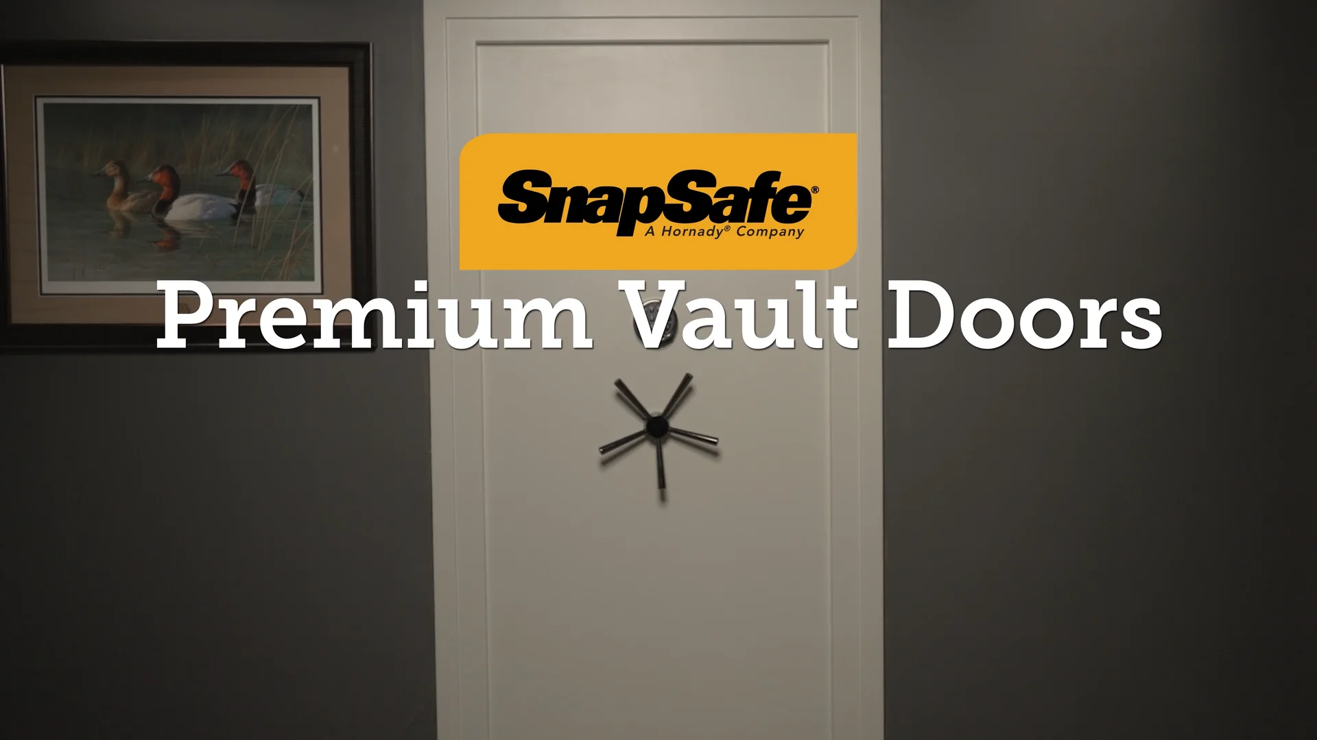 SnapSafe 75420 Premium Vault Room Door 36