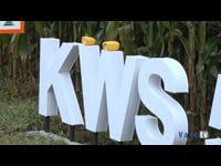 Nuevos híbridos llegan al mercado