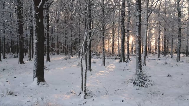 jeune fille élégante dans des vêtements d'hiver chauds marchant dans une  journée enneigée d'hiver 9855417 Photo de stock chez Vecteezy